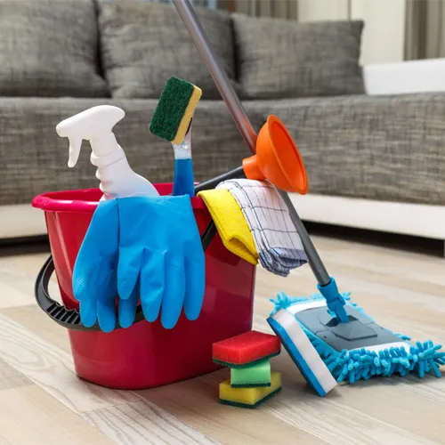 Cleaning Services