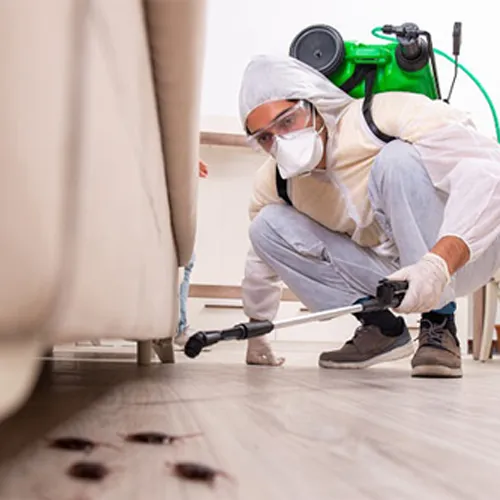 Pest Control Services