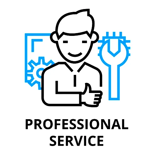 Professional Services